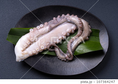 生の蛸足 生の蛸足 107364247