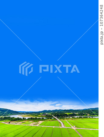 川口牛ケ島 の 信濃川 ( 千曲川 ) と 牛ケ島大橋 と 田園風景 【 新潟県 の 風景 】 107364248