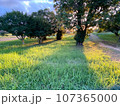 岡山の夕暮れ 107365000
