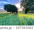 岡山の田舎の夕暮れ 107365002