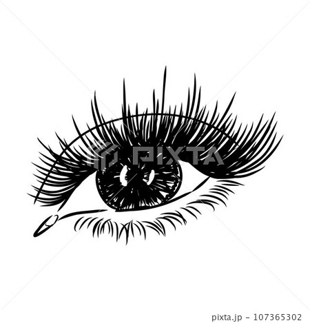 Beautiful woman eyes black and white drawing sketch. Vector fashion illustration. Beautiful woman eyes black and white drawing sketch. Vector fashion illustration. 107365302