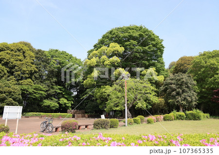 群馬県邑楽郡邑楽町のた多々良沼公園の風景 107365335