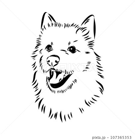 Decorative outline portrait of Dog Australian Terrier, vector 107365353