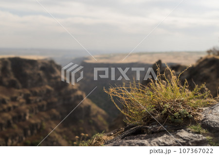 Kasakh river canyon near Saghmosavan village in autumn Kasakh river canyon near Saghmosavan village in autumn 107367022