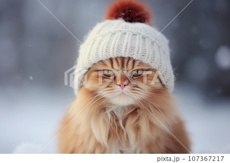 Funny fluffy ginger cat in in a warm knitted hat on a winter day. AI generated. 107367217