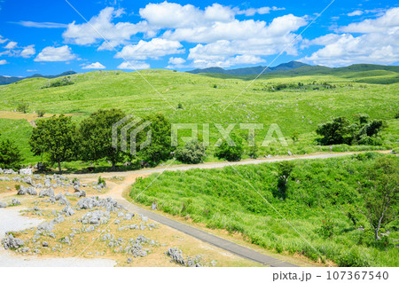 夏の秋吉台　山口県美祢市 107367540