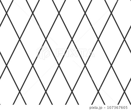 Diagonal cross line grid seamless pattern. Geometric diamond texture. Black diagonal line mesh on white background. Minimal quilted fabric. Metallic wires fence pattern. Vector illustration 107367605
