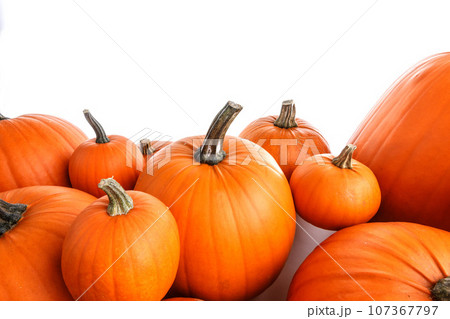 Many orange pumpkins on white Many orange pumpkins on white 107367797