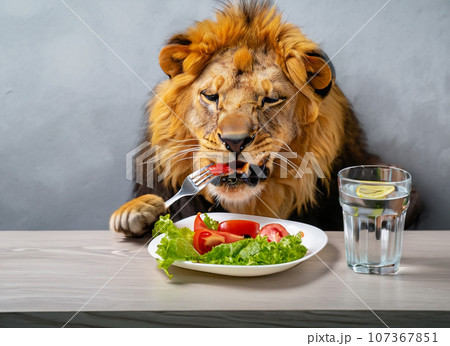 野菜サラダを食べるライオンのオス AI生成画像 野菜サラダを食べるライオンのオス AI生成画像 107367851