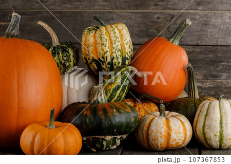 Many various pumpkins Many various pumpkins 107367853