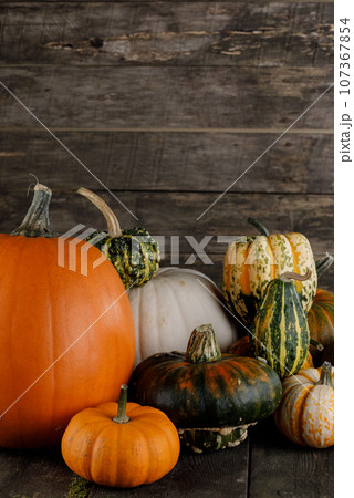 Many various pumpkins Many various pumpkins 107367854
