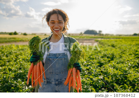 Smiling female farmer holding freshly picked carrots standing in field. Agro industry concept Smiling female farmer holding freshly picked carrots standing in field. Agro industry concept 107368412