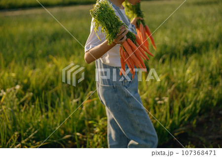 Close up of female farmer holding freshly picked carrots standing in field. Agro industry concept Close up of female farmer holding freshly picked carrots standing in field. Agro industry concept 107368471