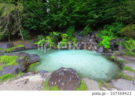【鹿児島県】霧島神宮（温泉池） 107369422