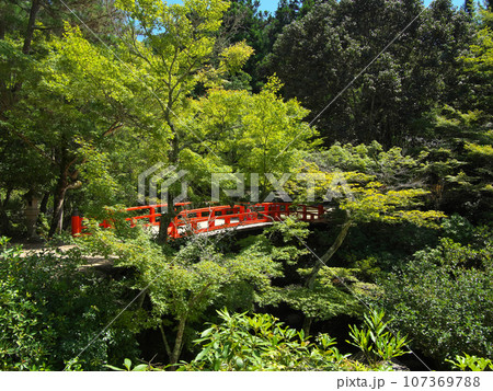 宮島 紅葉谷橋 夏 宮島 紅葉谷橋 夏 107369788
