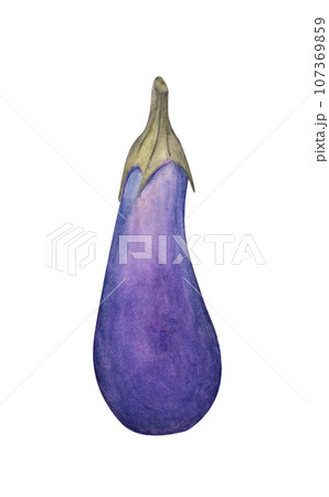 Eggplant. Watercolor illustration. Eggplant. Watercolor illustration. 107369859