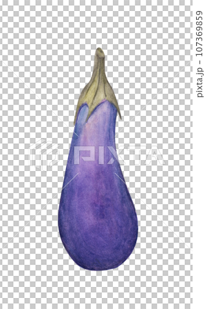 Eggplant. Watercolor illustration. Eggplant. Watercolor illustration. 107369859