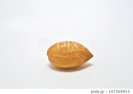 茶色いカヤの種子(白背景)(秋、九月) 茶色いカヤの種子(白背景)(秋、九月) 107369953