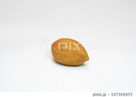 茶色いカヤの種子（白背景）（秋、九月） 107369955