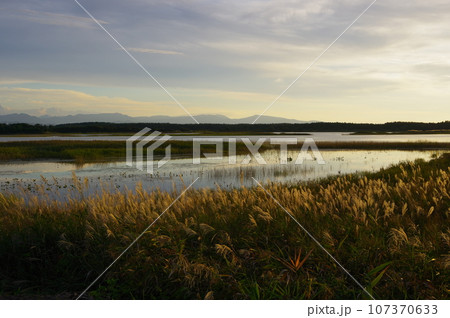 青森県つがる市ベンセ湿原の風景 107370633