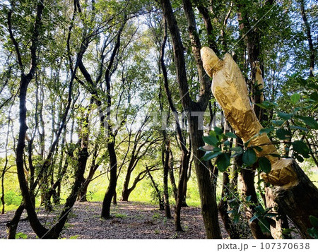 アートのまち・津奈木町　街中アート達仏の光景 107370638
