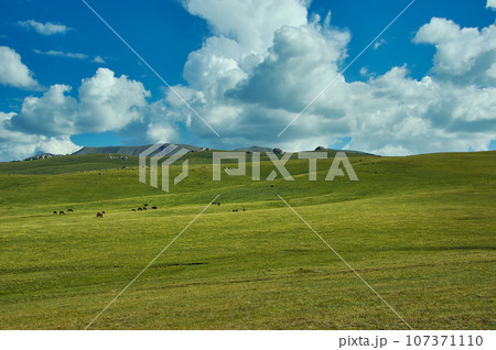 Son Kul mountain lake Son Kul mountain lake 107371110