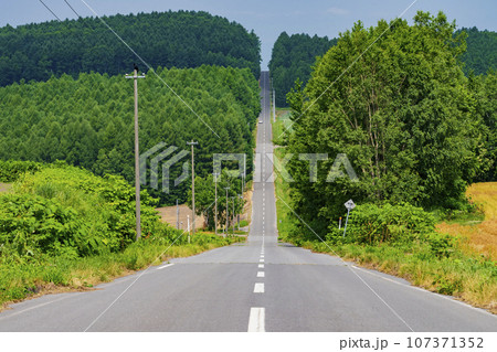 ジェットコースターのようなアップダウンまっすぐな道（就実の丘） 107371352
