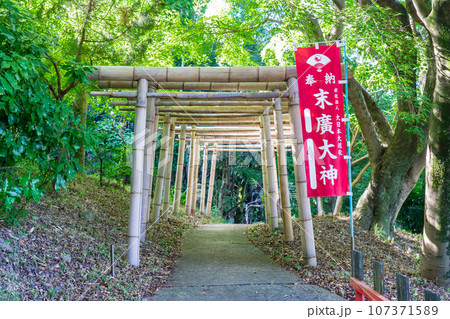 京都市伏見区の伏見稲荷大社　末廣大神 107371589