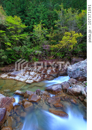 新緑と水の流れが美しい 春の野呂川 107371891