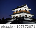 ライトアップされた夜の天守閣 107372071