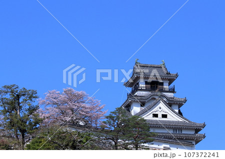 高知城 春らんまん (高知県 高知市) 高知城 春らんまん (高知県 高知市) 107372241
