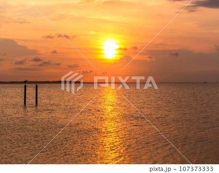 夏の美しい夕景　霞ヶ浦に沈む夕陽 107373333