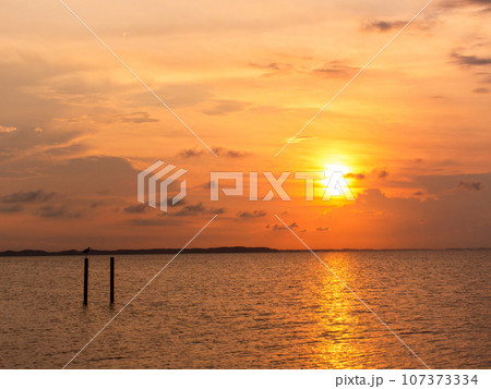 夏の美しい夕景　霞ヶ浦に沈む夕陽 107373334