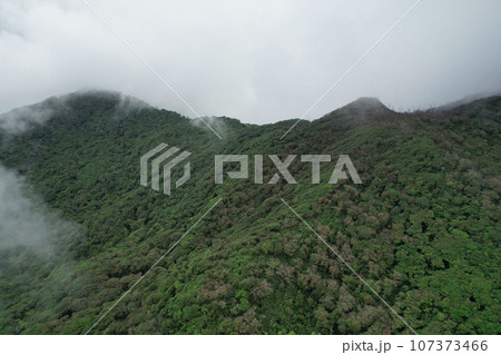 Green hills in Mombacho volcano Green hills in Mombacho volcano 107373466