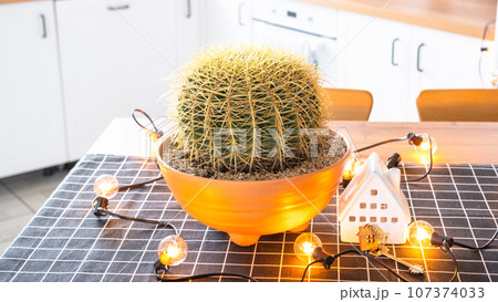Large cactus echinocactus gruzoni in interior of the home in kitchen, illuminated by garland lamps and miniature of house project with keys. Potted plant in green house, real estate rental, insurance Large cactus echinocactus gruzoni in interior of the home in kitchen, illuminated by garland lamps and miniature of house project with keys. Potted plant in green house, real estate rental, insurance 107374033