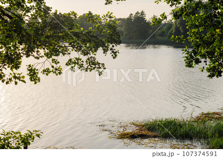 Amazing picture capturing magical untouched nature in non-urban scene, calm lake and foliage, illuminated by sunshine. 107374591
