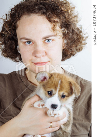 Portrait of young smiling blue-eyed woman holding amazing little brown white puppy of dog welsh pembroke corgi on hands. Portrait of young smiling blue-eyed woman holding amazing little brown white puppy of dog welsh pembroke corgi on hands. 107374634