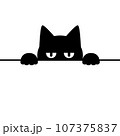 猫が覗いているシルエットイラスト 107375837