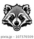 Raccoon mascot vector emblem design 107376509