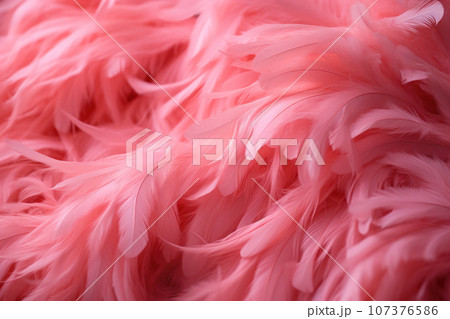 Background of pink flamingo feathers 107376586