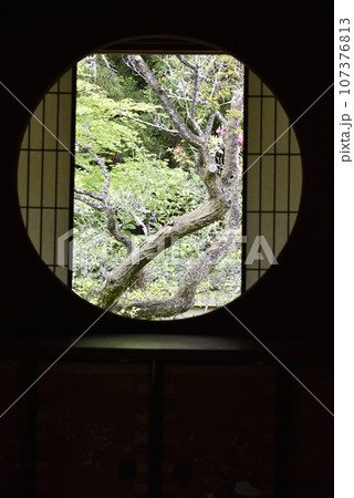 雲龍院 悟りの窓 雲龍院 悟りの窓 107376813