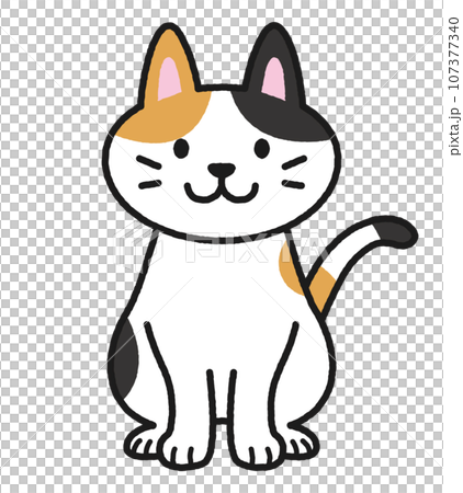 坐在玳瑁貓 107377340