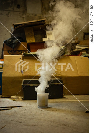 燻煙剤_害虫駆除 107377368