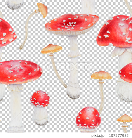 Watercolor seamless pattern of red fly agaric and galerina marginata. Poisonous mushrooms. Hand drawn botanical realistic forest illustration for packing gifts, paper, background, textile 107377985