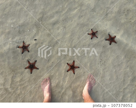 very beautiful red starfish lie on the white sand. coast. Vietnam. 107378052