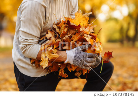 Man cleans autumn park from yellow leaves. Volunteering, cleaning concept. Seasonal gardening. 107378145