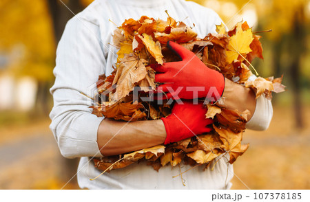 Man cleans autumn park from yellow leaves. Volunteering, cleaning concept. Seasonal gardening. 107378185