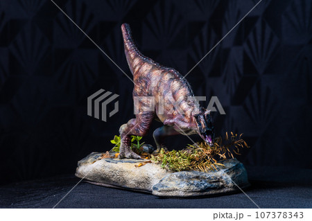 Carnotaurus Dinosaur in the dark 107378343