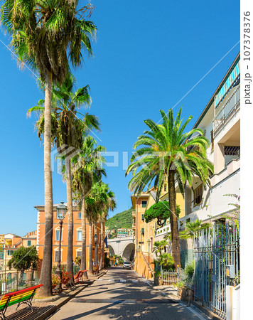 Road with palm trees 107378376