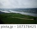 ライン川とワイン畑 107378425